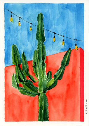 Cactus Cactus