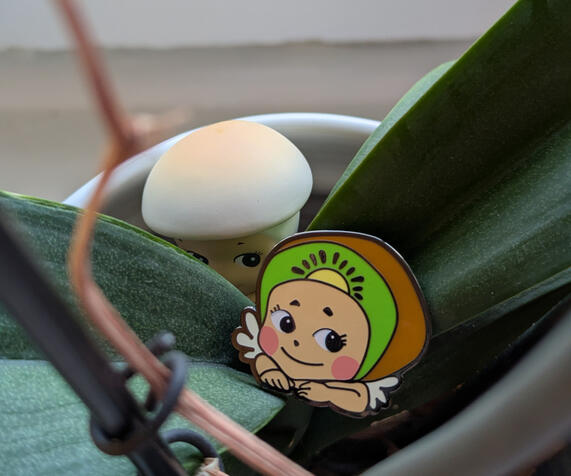 Kiwi Angel Kiwi Angel